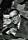 Ray Morgan