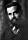 Rex Stout