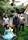 Silversun Pickups