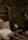 Stephen McGann