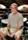 Steve Gadd