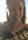 Sunny Lane