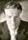 Theodore Newton