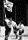 Vincent LaRusso