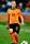 Wesley Sneijder