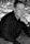 William DeCoff