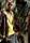 Wood Harris