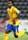 Ze Roberto
